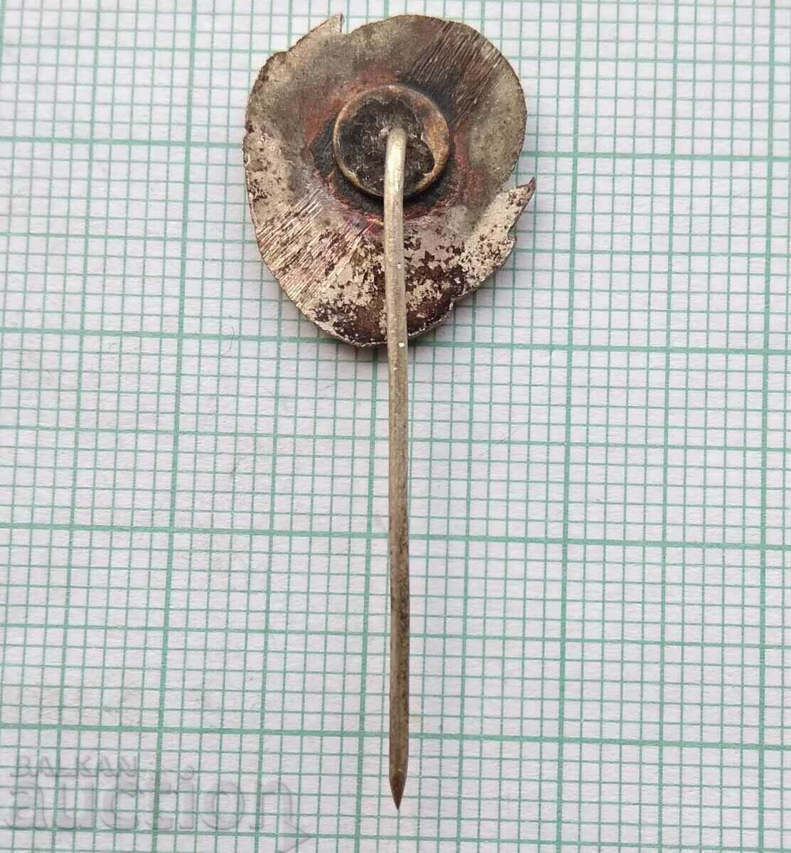 Παράδοση 14817 Σήμα - Ποδοσφαιρικός Όμιλος KOZPN Πολωνία - σμάλτο Παράδοση 14817 Σήμα - Ποδοσφαιρικός Όμιλος KOZPN Πολωνία - σμάλτο