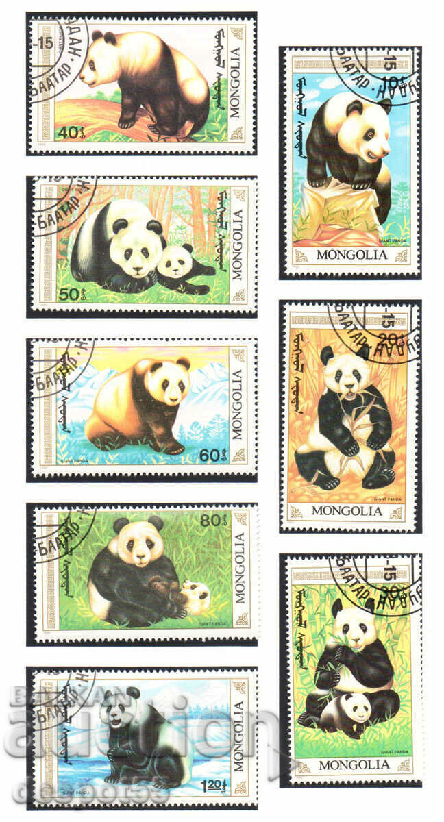 1990. Mongolia. The giant panda.