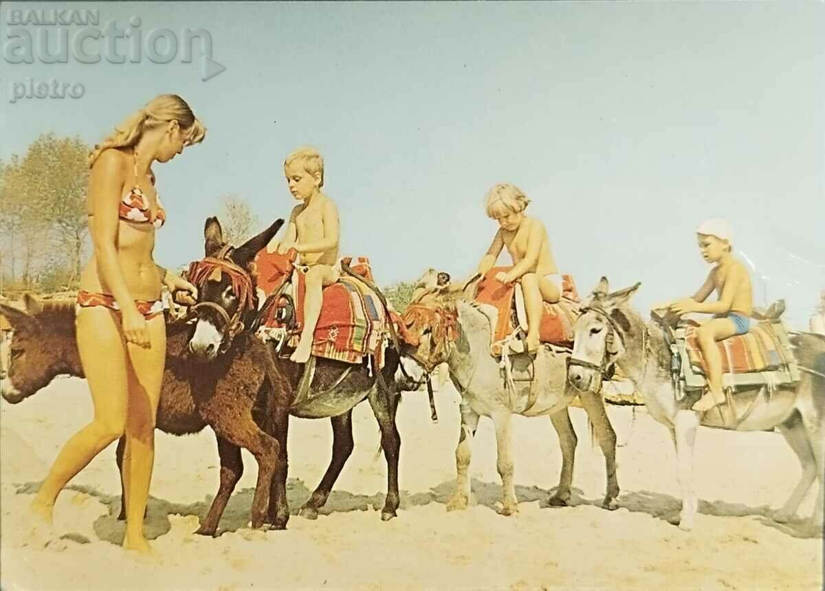 Postcard. 1980 SUNNY BEACH - fun on the beach