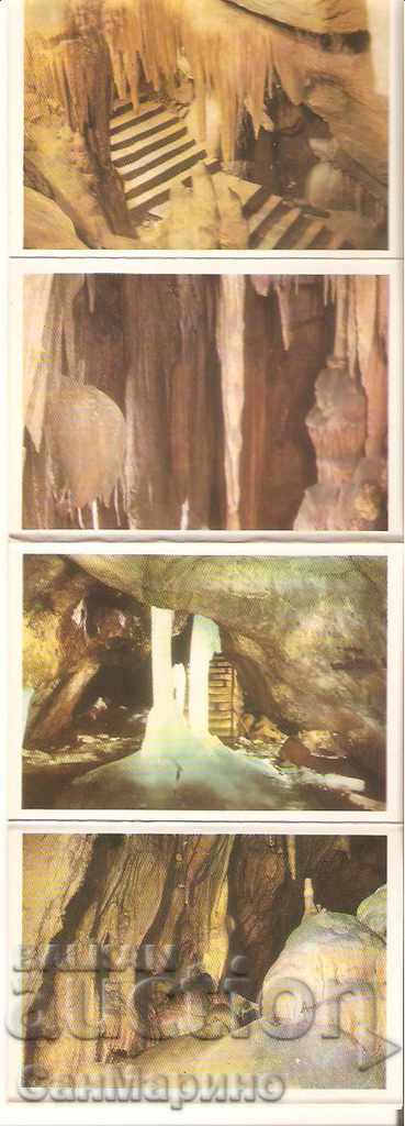 Auction Card Bulgaria Ledenika Albumche mini 1 Auction Card Bulgaria Ledenika Albumche mini 1