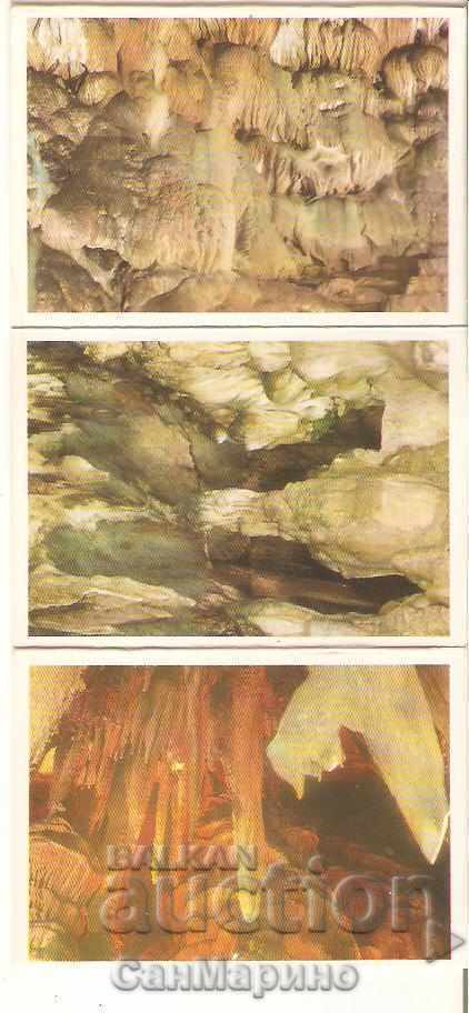 Delivery of Card Bulgaria Ledenika Albumche mini 1 Delivery of Card Bulgaria Ledenika Albumche mini 1