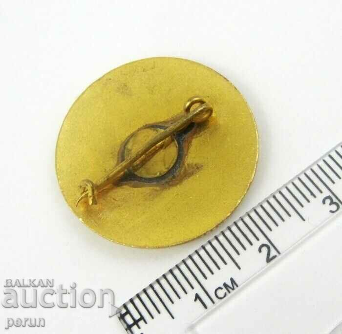 Auction AWARD BADGE-FOR EXCELLENT SERVICE-RED CROSS-YUGOSLAVIA Auction AWARD BADGE-FOR EXCELLENT SERVICE-RED CROSS-YUGOSLAVIA