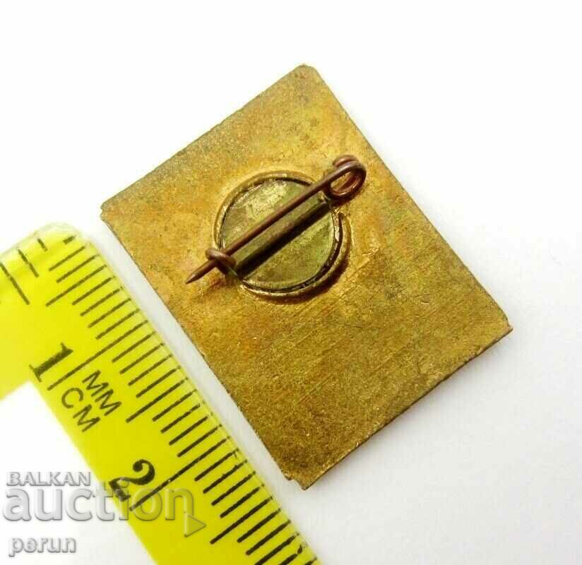 Delivery of GEORGIA-GEORGIAN PROPAGANDA BADGE-BEAUTIFUL ENAMEL