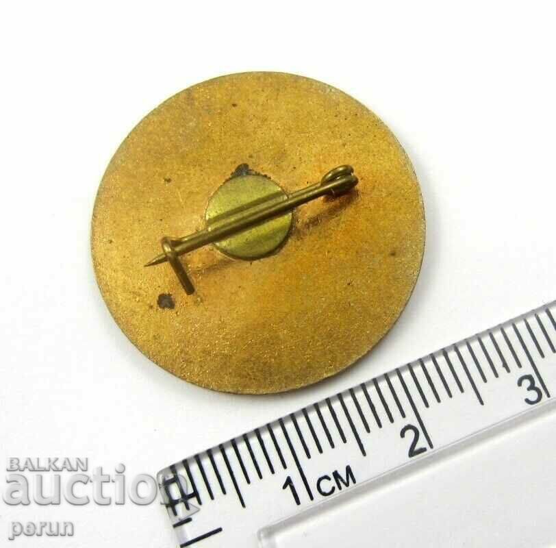 Delivery of Ukrainian National Committee for the Protection of Peace-Old Badge Delivery of Ukrainian National Committee for the Protection of Peace-Old Badge