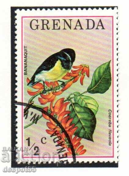 1976. Grenada. Păsări.
