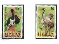 1991. Λιθουανία. Πουλιά στο κόκκινο βιβλίο.