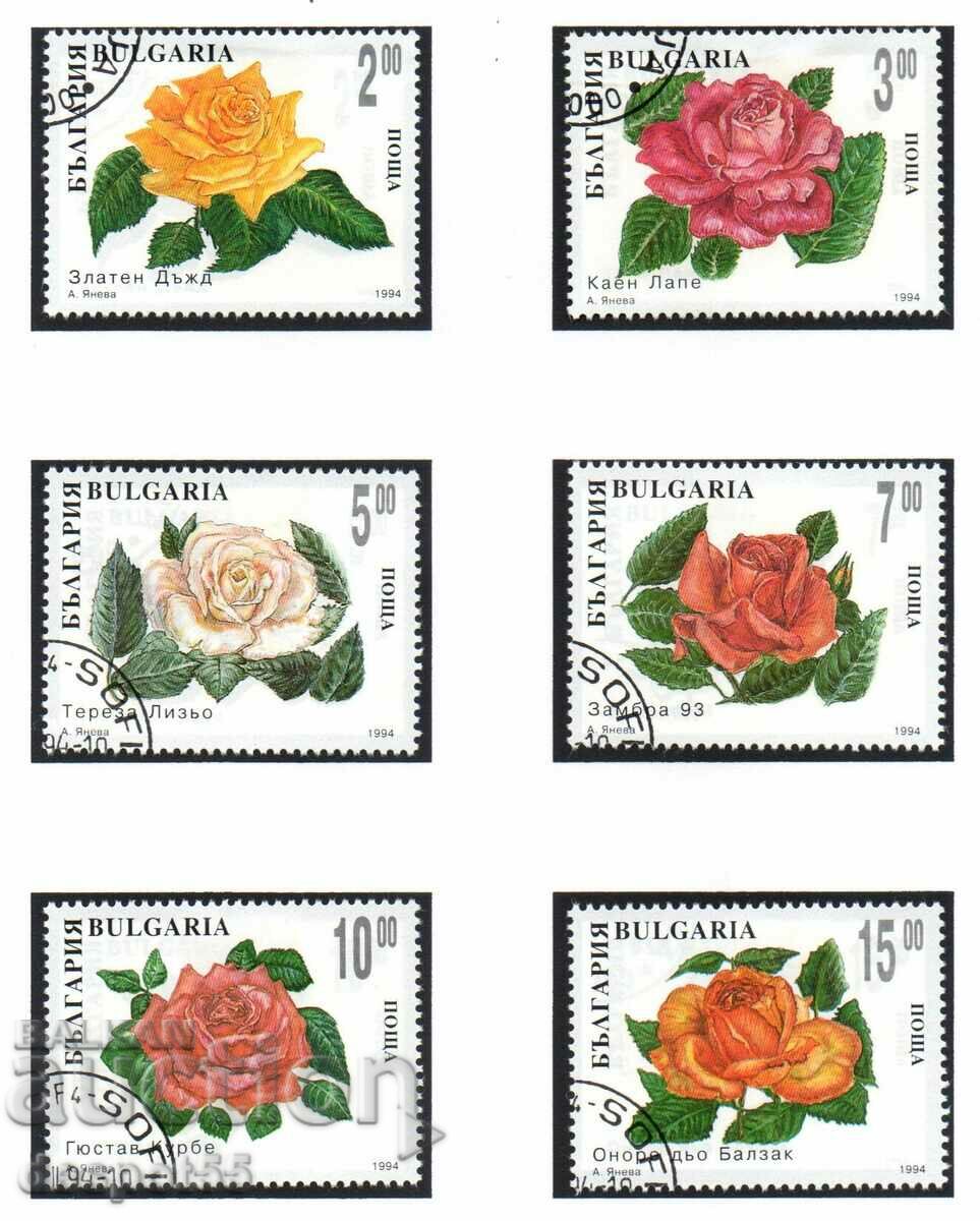 1994. България. Декоративни рози.