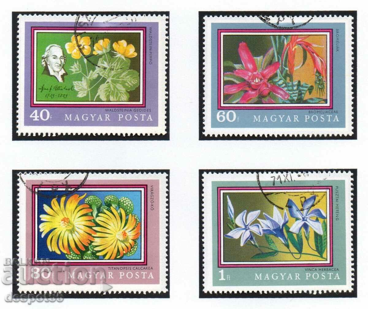 1971. Унгария. Ботаническата градина на университета - Цветя с цена 2.30 лв. | € 1.18 1971. Унгария. Ботаническата градина на университета - Цветя с цена 2.30 лв. | € 1.18