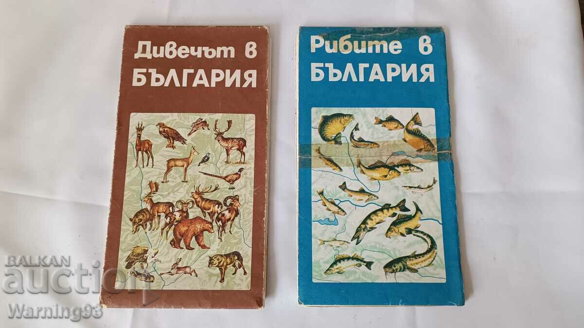 Δύο παλιοί χάρτες της Βουλγαρίας - κυνήγι και ψάρεμα - BLRS