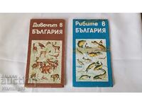 Δύο παλιοί χάρτες της Βουλγαρίας - κυνήγι και ψάρεμα - BLRS