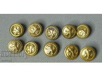 България лот 10 Стари копчета Офицерска униформа лъв 16 мм
