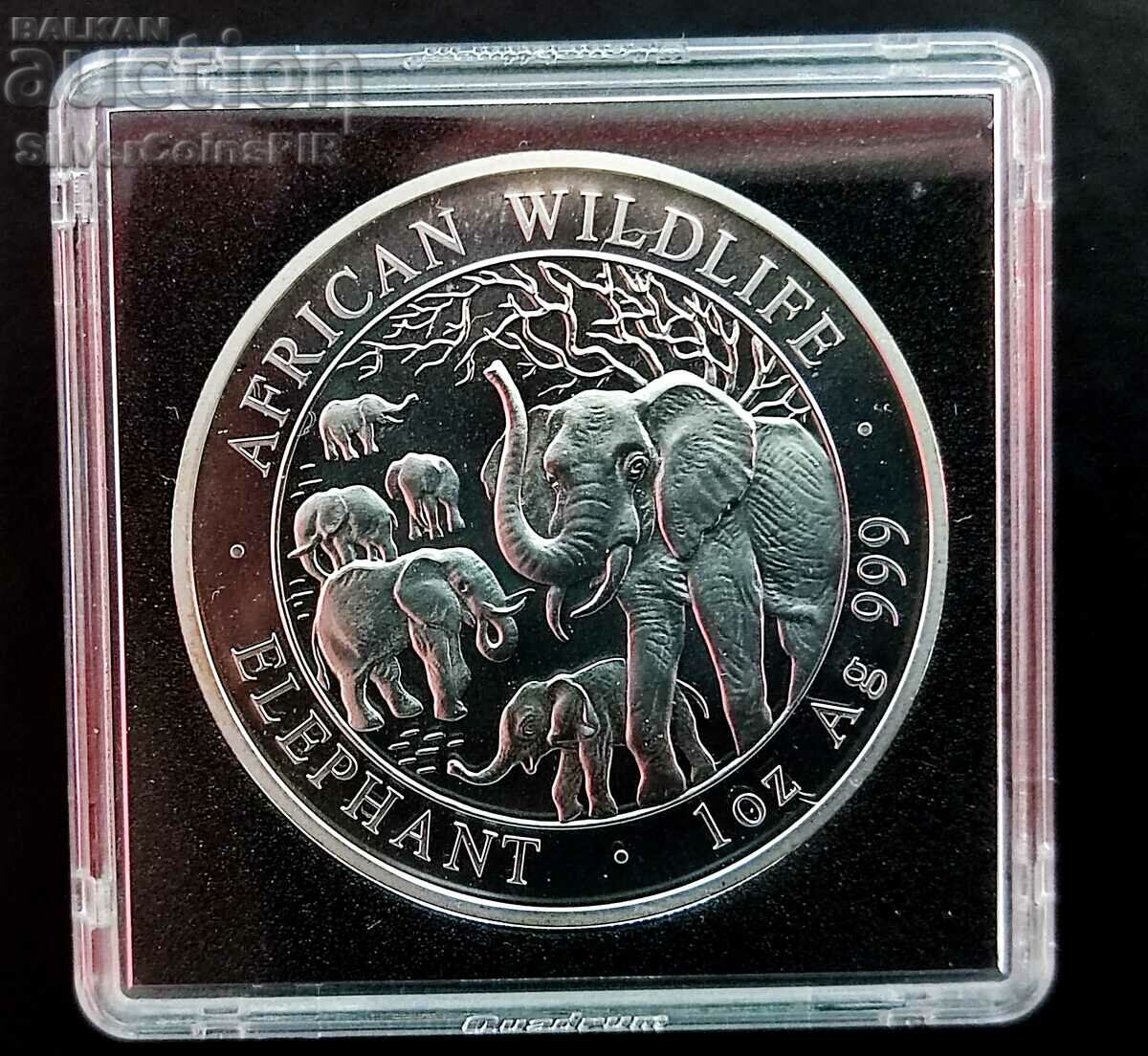 Argint 1 oz Elefant somalez 2008 100 șilingi