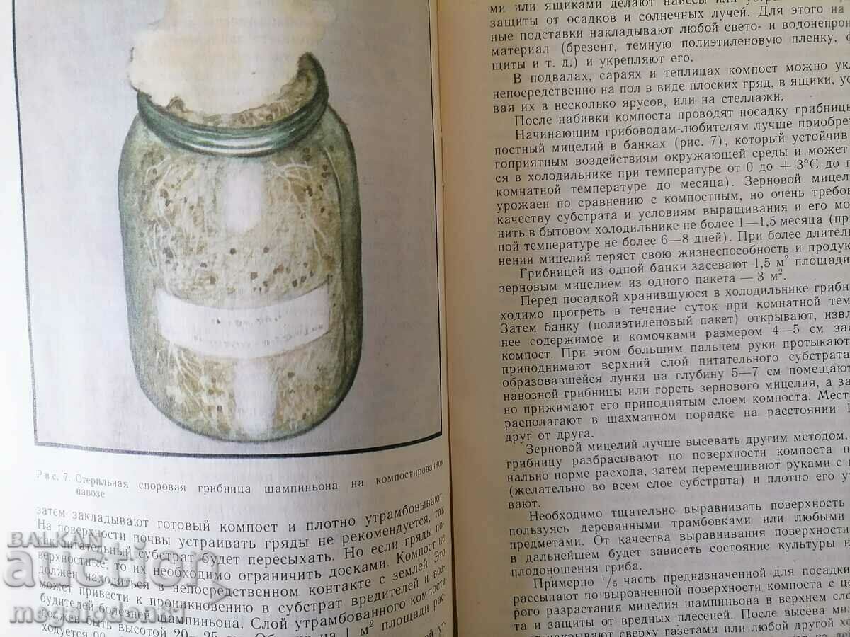 Mushrooms - growing manual, in Russian with price 7.00 BGN | € 3.58 Mushrooms - growing manual, in Russian with price 7.00 BGN | € 3.58