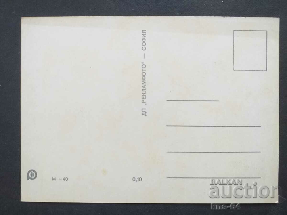 CHNG Congratulations with price 0.65 BGN | € 0.33 CHNG Congratulations with price 0.65 BGN | € 0.33