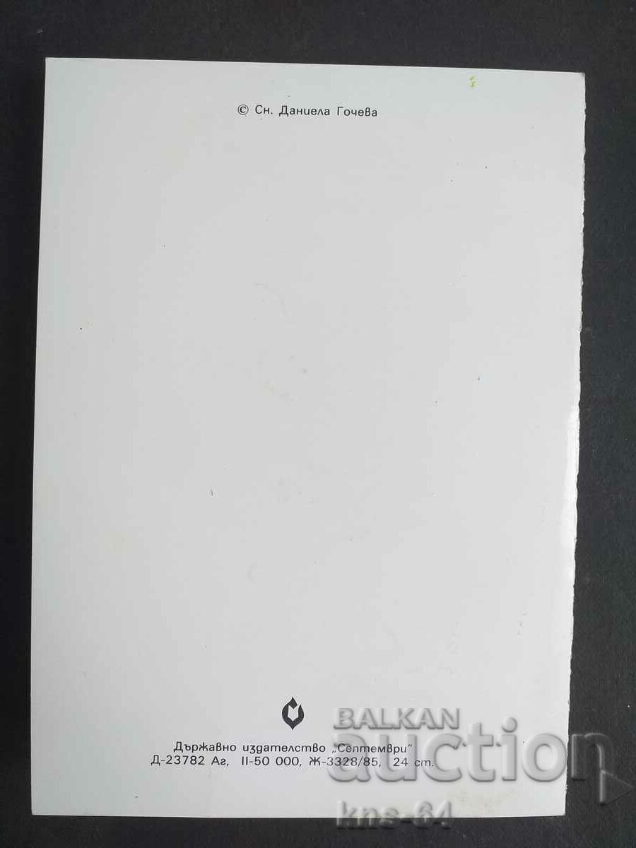 Auction Congratulatory Auction Congratulatory