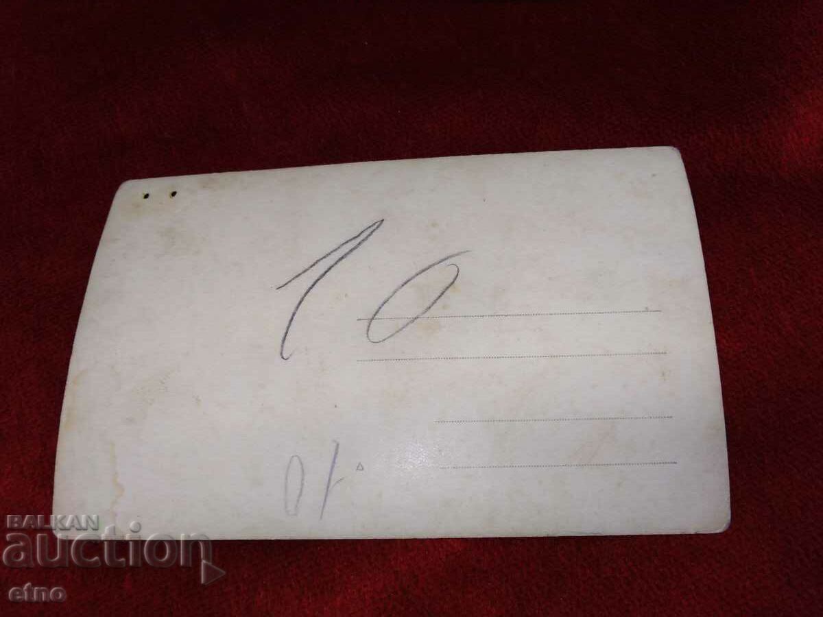 Delivery of ROYAL PICTURE - saber Delivery of ROYAL PICTURE - saber