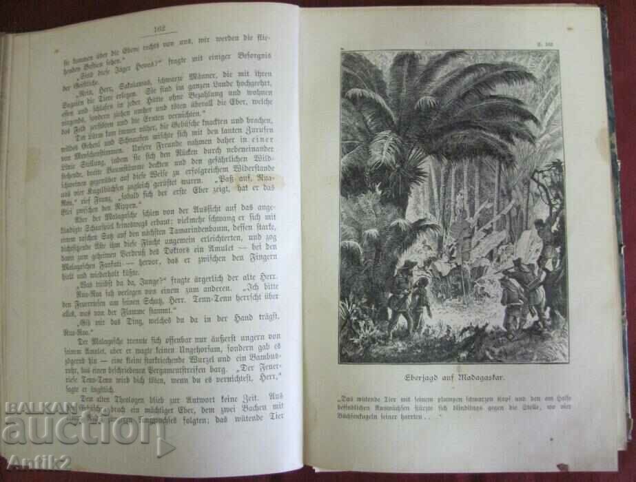 1882 Book Germany - 7