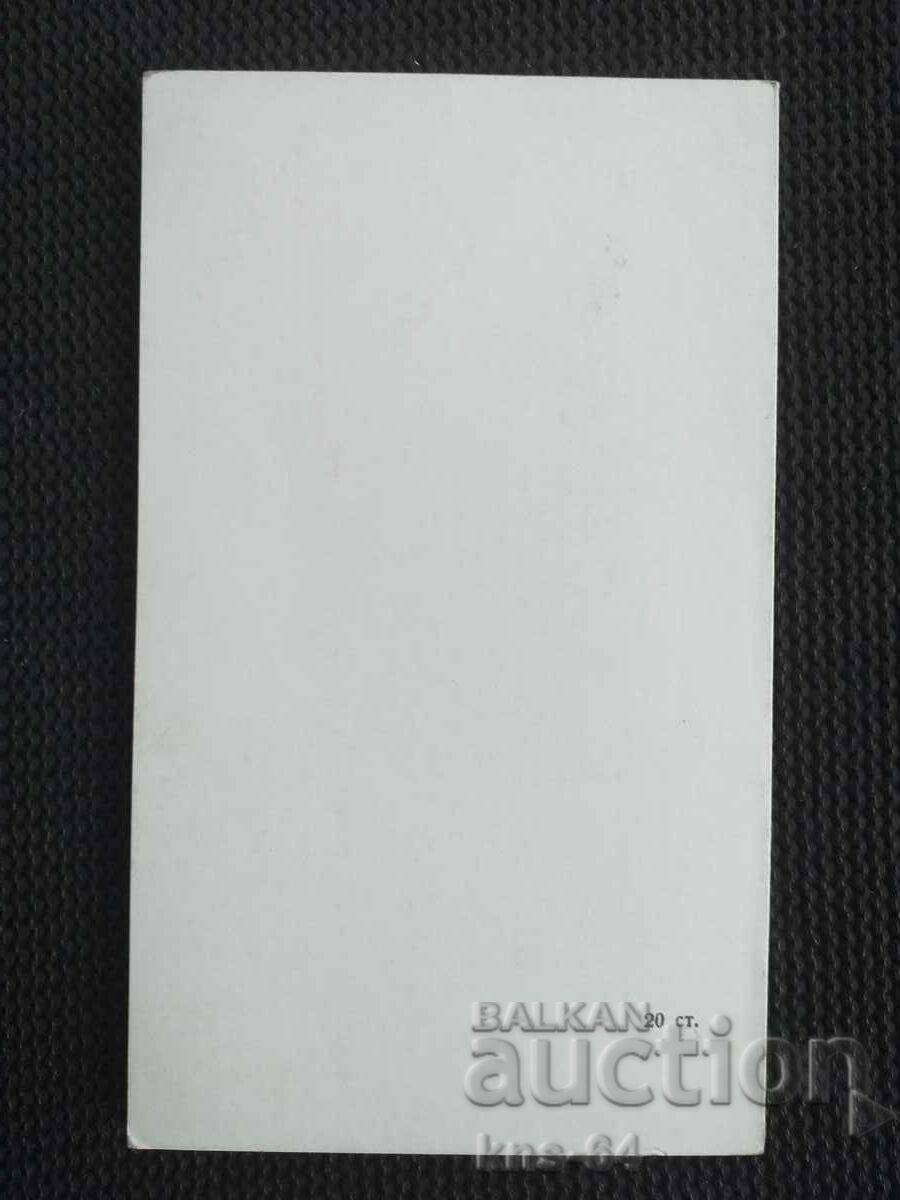 Auction Congratulatory Auction Congratulatory