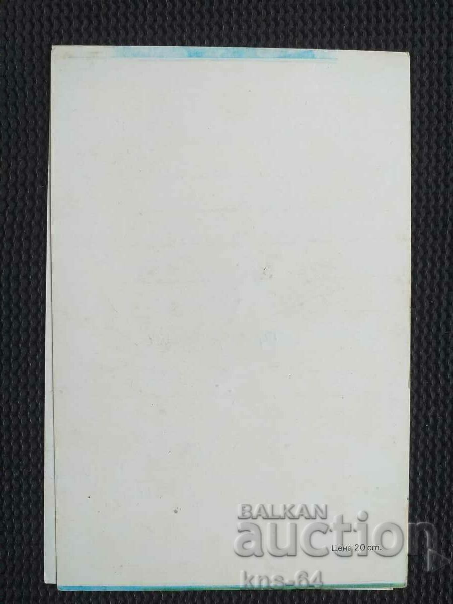 Auction Congratulatory Auction Congratulatory