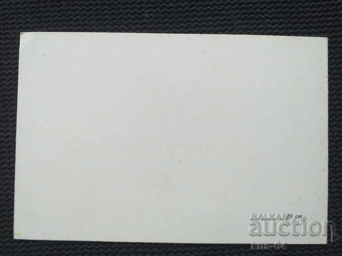 Auction Congratulatory Auction Congratulatory