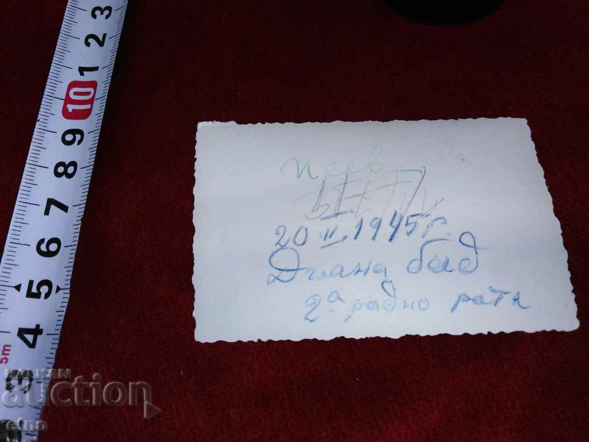 1945, ROYAL PHOTO Air Force, pilots with price 20.00 BGN | € 10.23 1945, ROYAL PHOTO Air Force, pilots with price 20.00 BGN | € 10.23