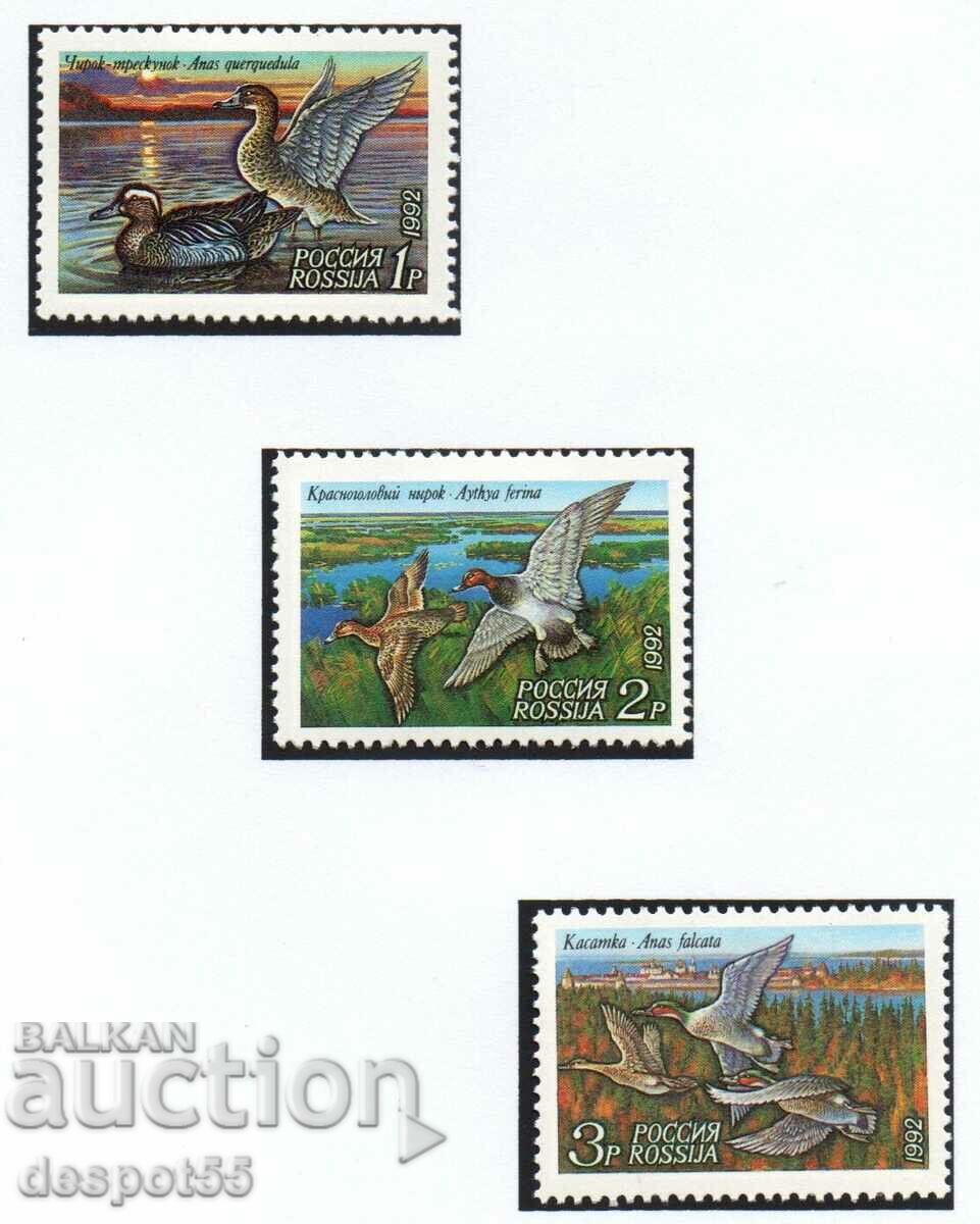 1992. Ρωσία. Αγριόπαπιες.