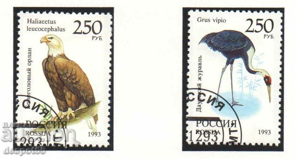 1993. Russia. Fauna of the world. with price 2.30 BGN | € 1.18