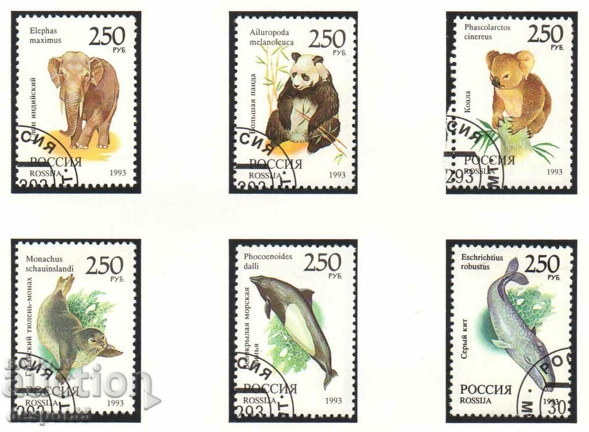 1993. Rusia. Fauna lumii.