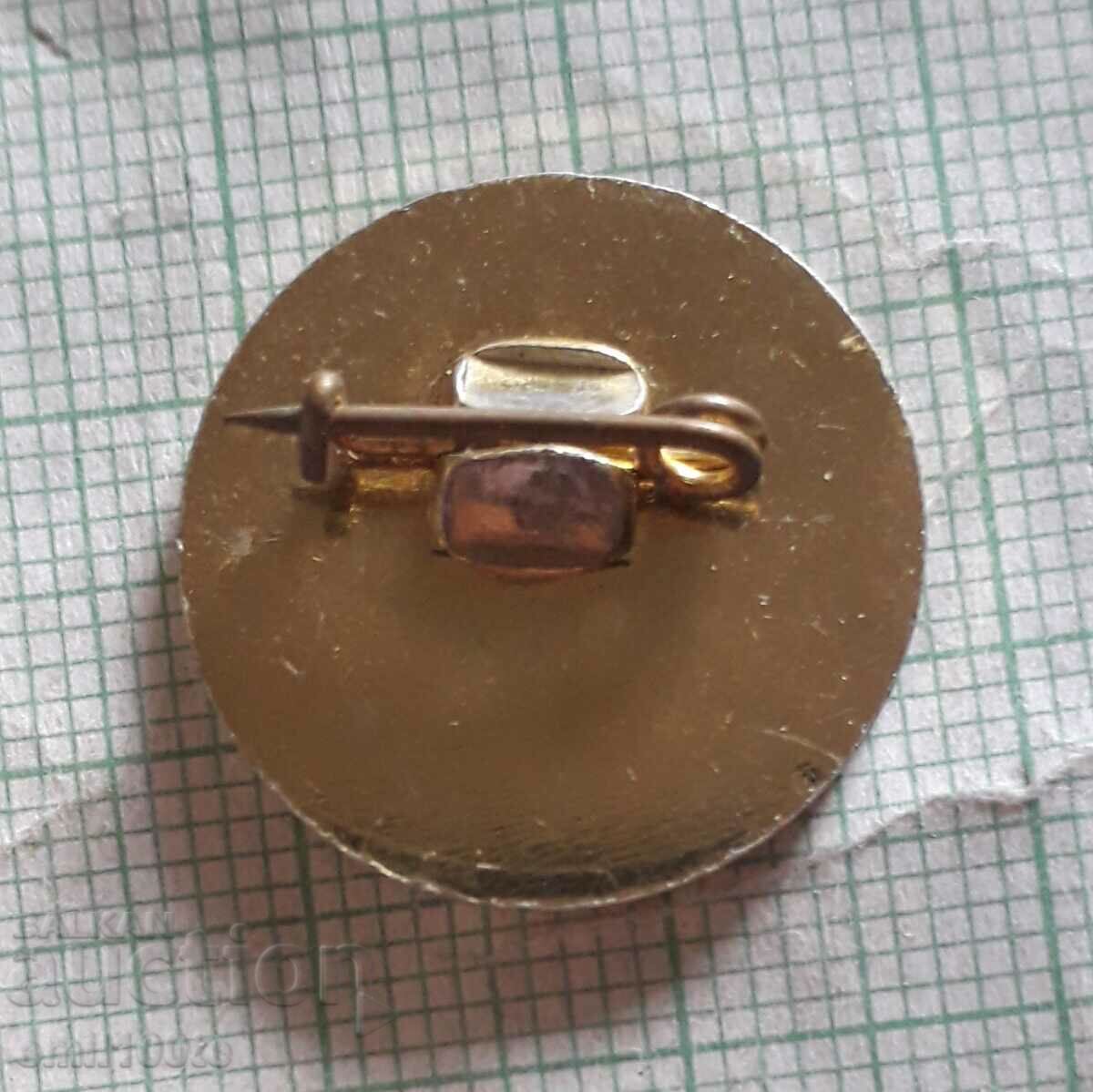 Delivery of Badge - 25 years PU Neofit Rila village Chokmanovo