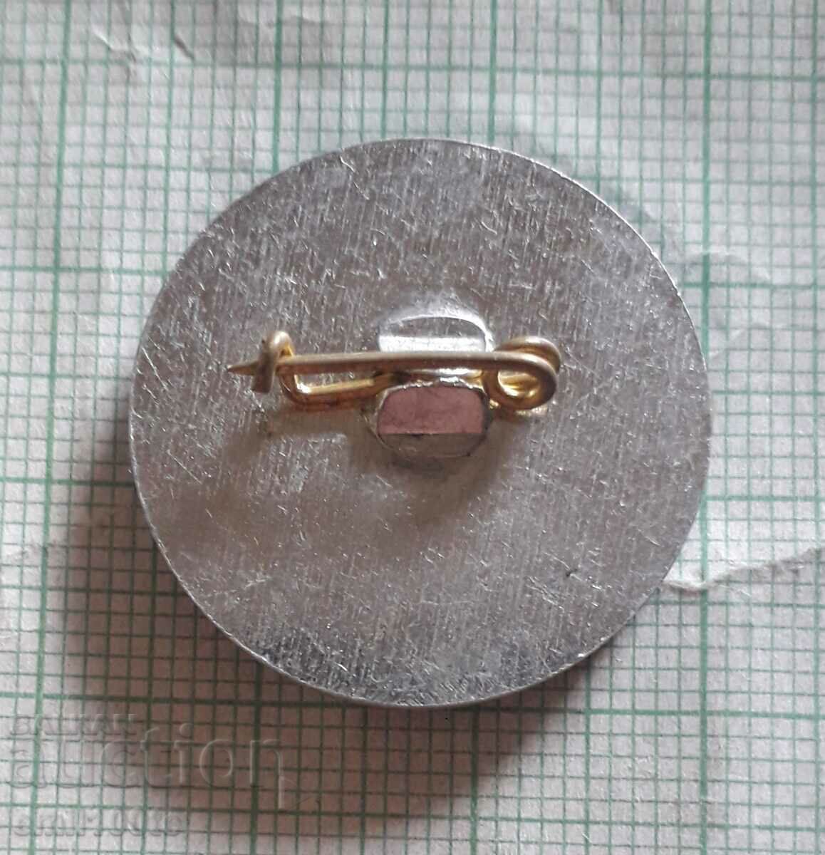 Delivery of Badge - For pedagogical mastery Gabrovo Delivery of Badge - For pedagogical mastery Gabrovo