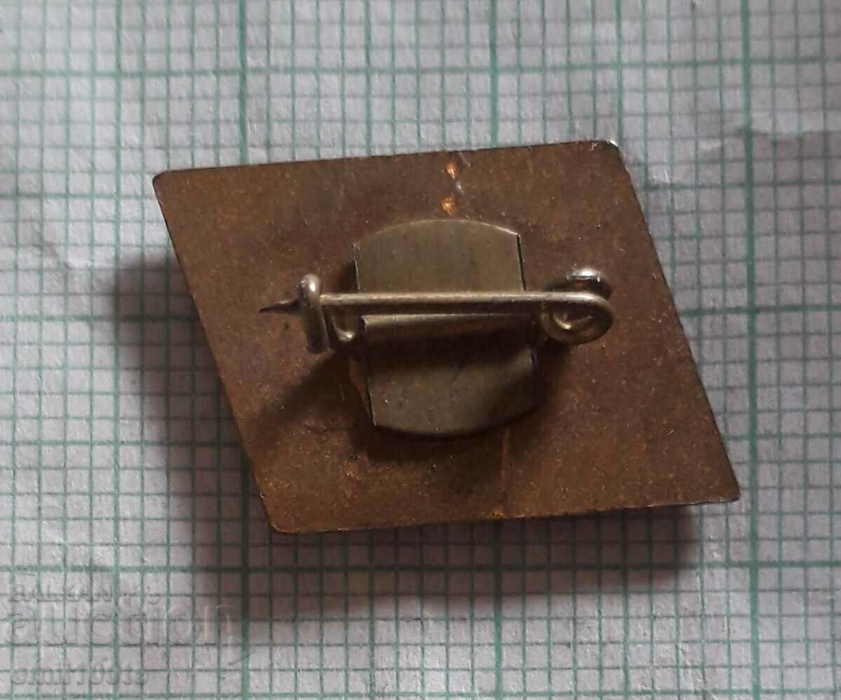 Badge - SBZ Union of Bulgarian Journalists - 5