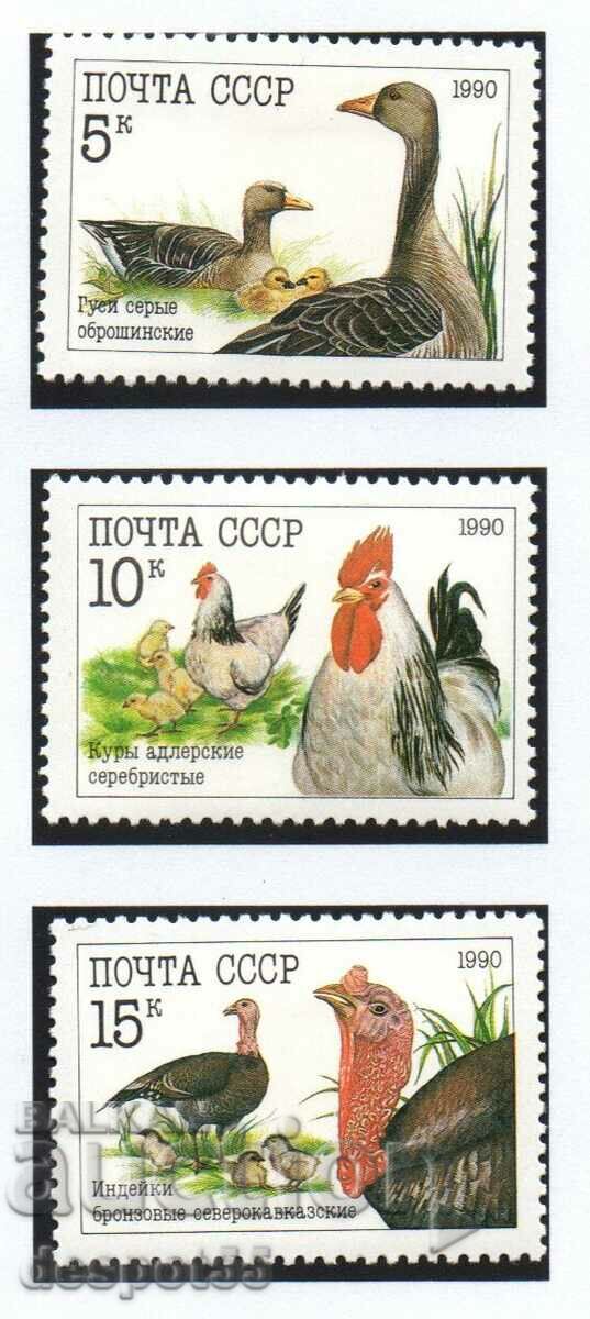 1990. ΕΣΣΔ. Οικόσιτα πτηνά.