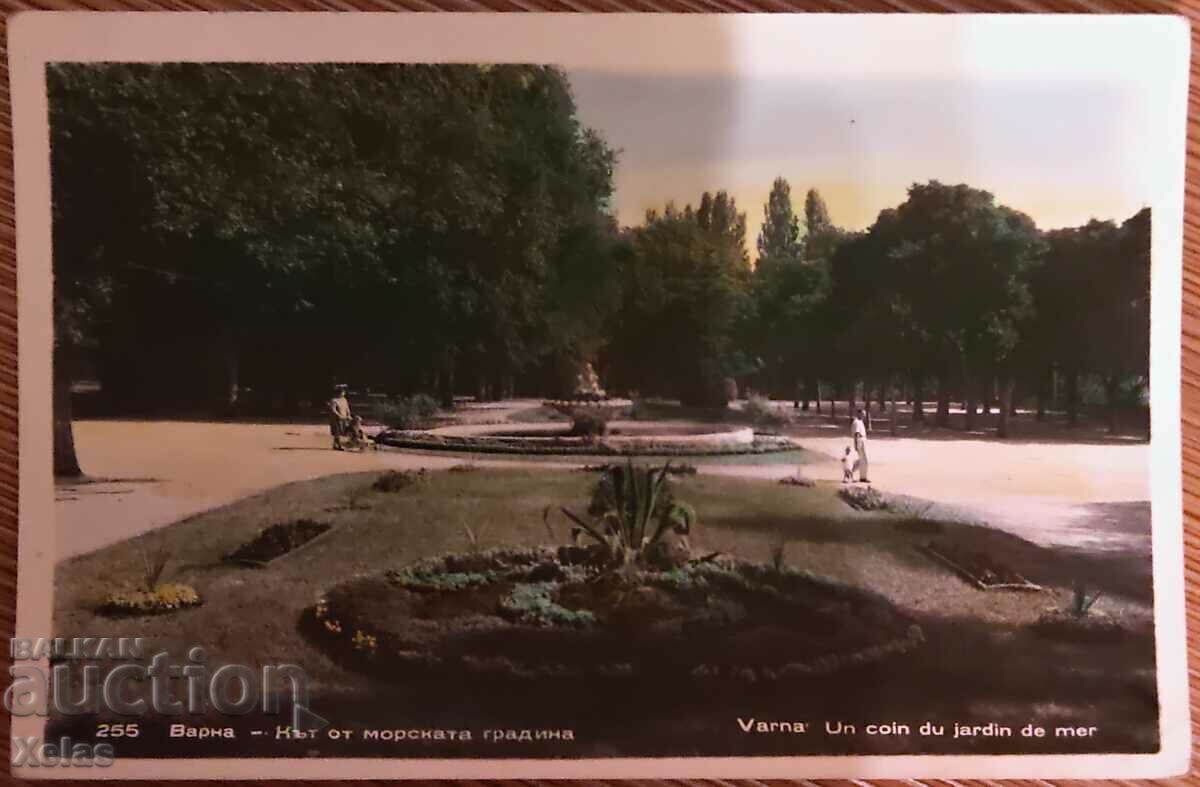 Old postcard Varna 1960s