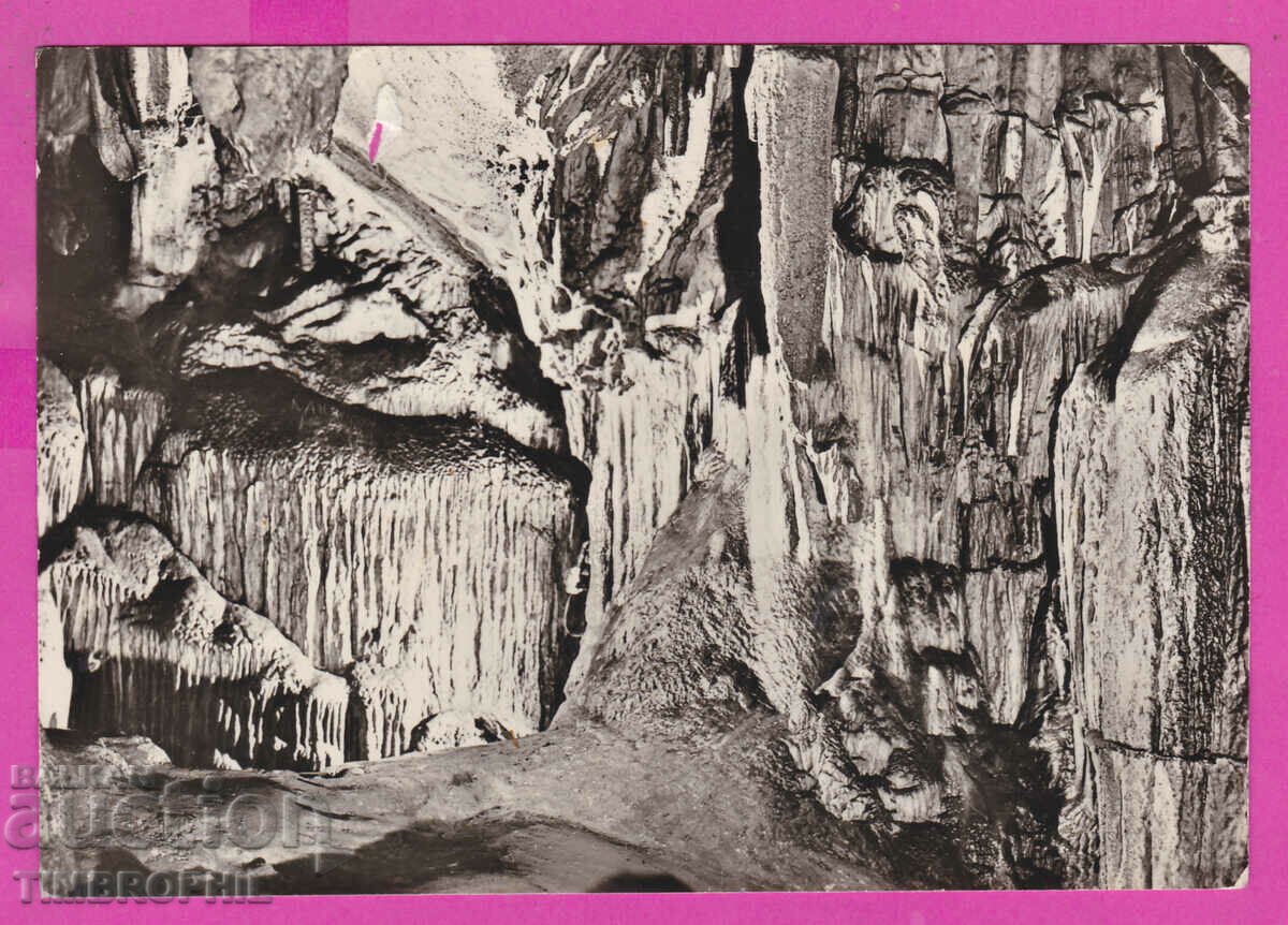 308585 / Σπήλαιο Βράτσας Λεδένικα Λευκή αίθουσα Α-25 Έκδοση φωτογραφιών