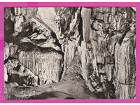 308585 / Σπήλαιο Βράτσας Λεδένικα Λευκή αίθουσα Α-25 Έκδοση φωτογραφιών