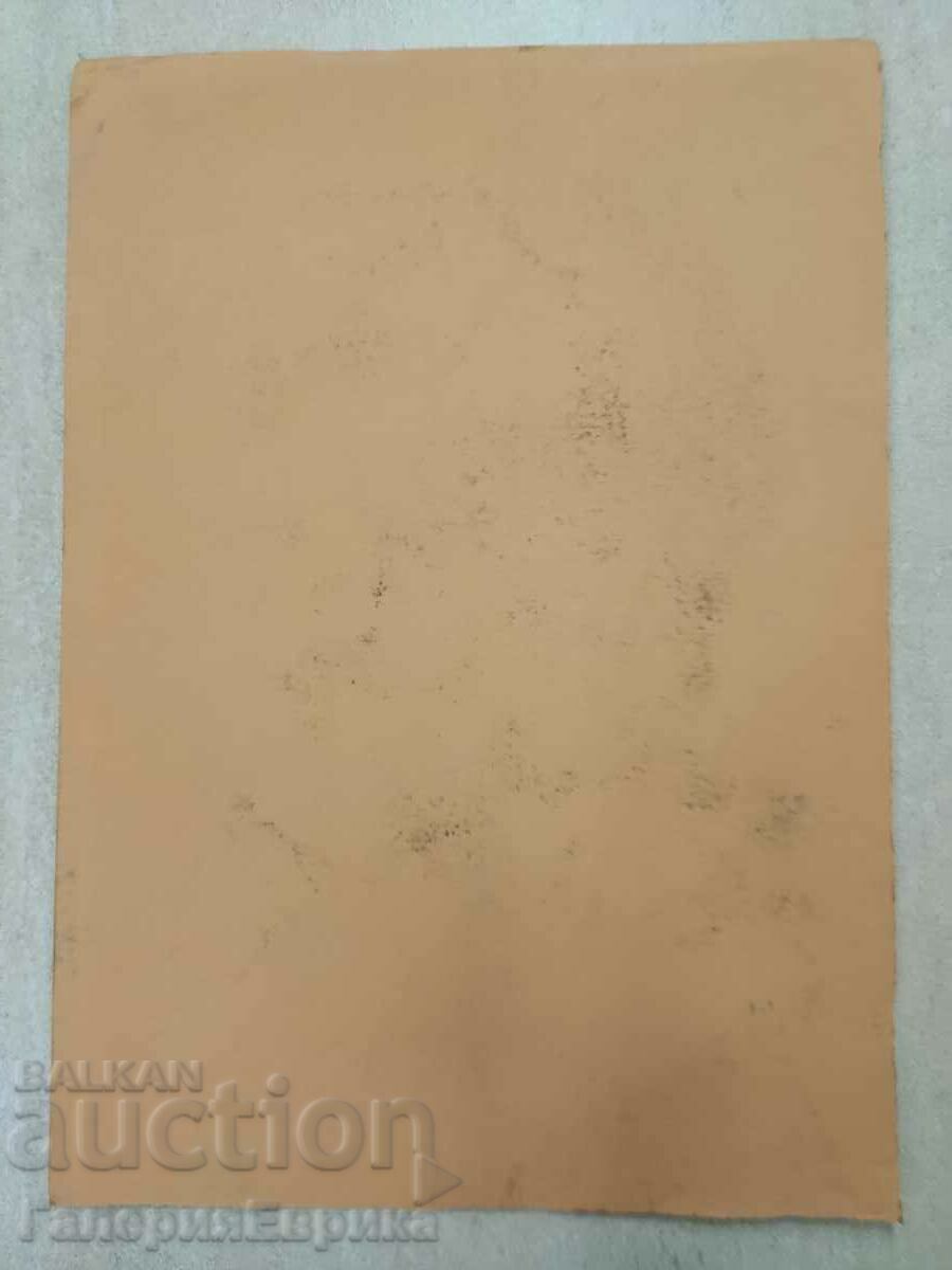 Auction Master drawing Auction Master drawing