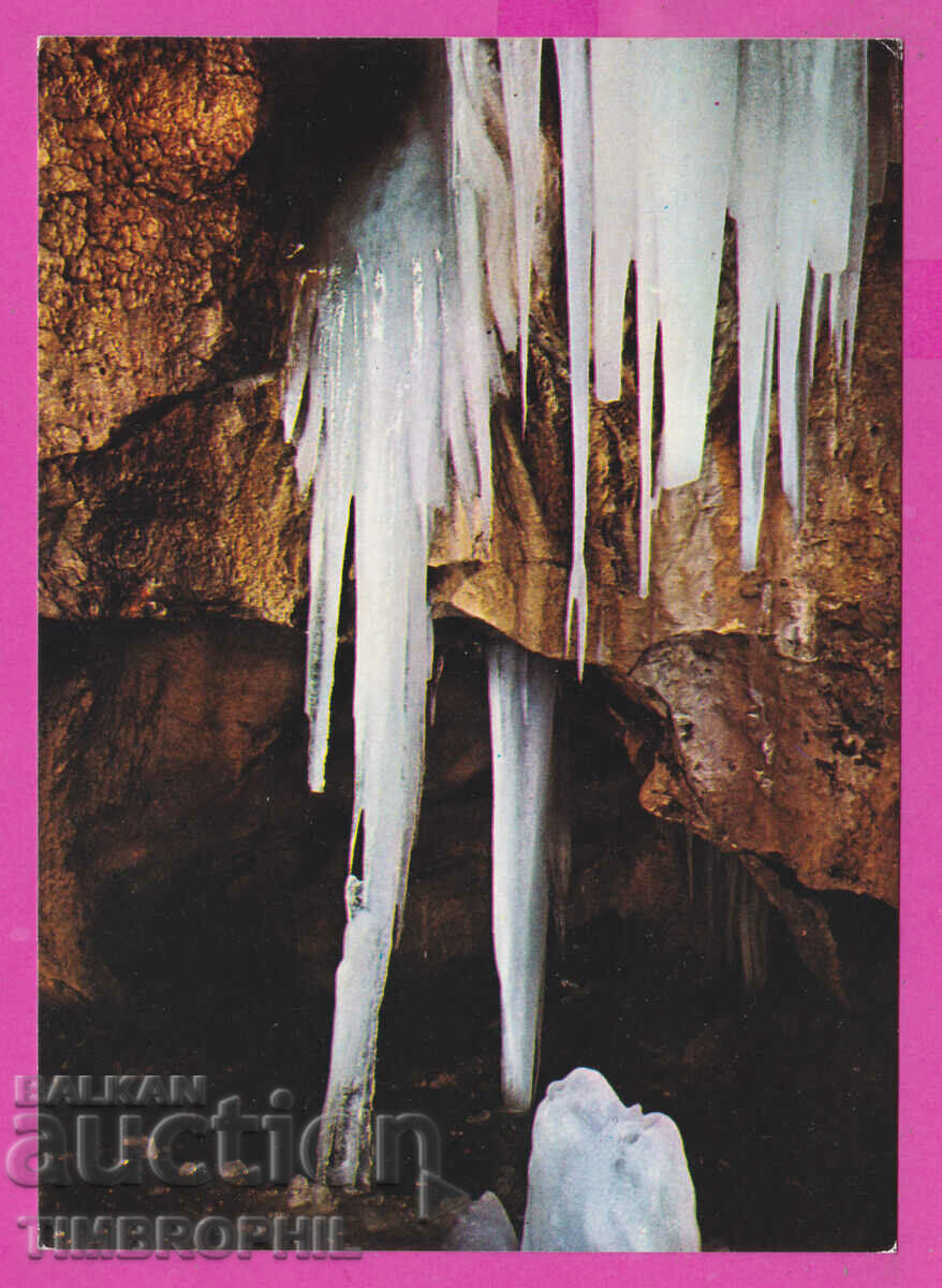 308593 / Ghețarul Peștera Vratsa format în 1984
