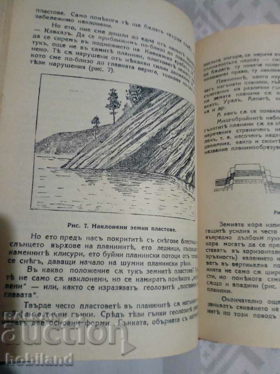 Auction Struggle for life in nature Auction Struggle for life in nature