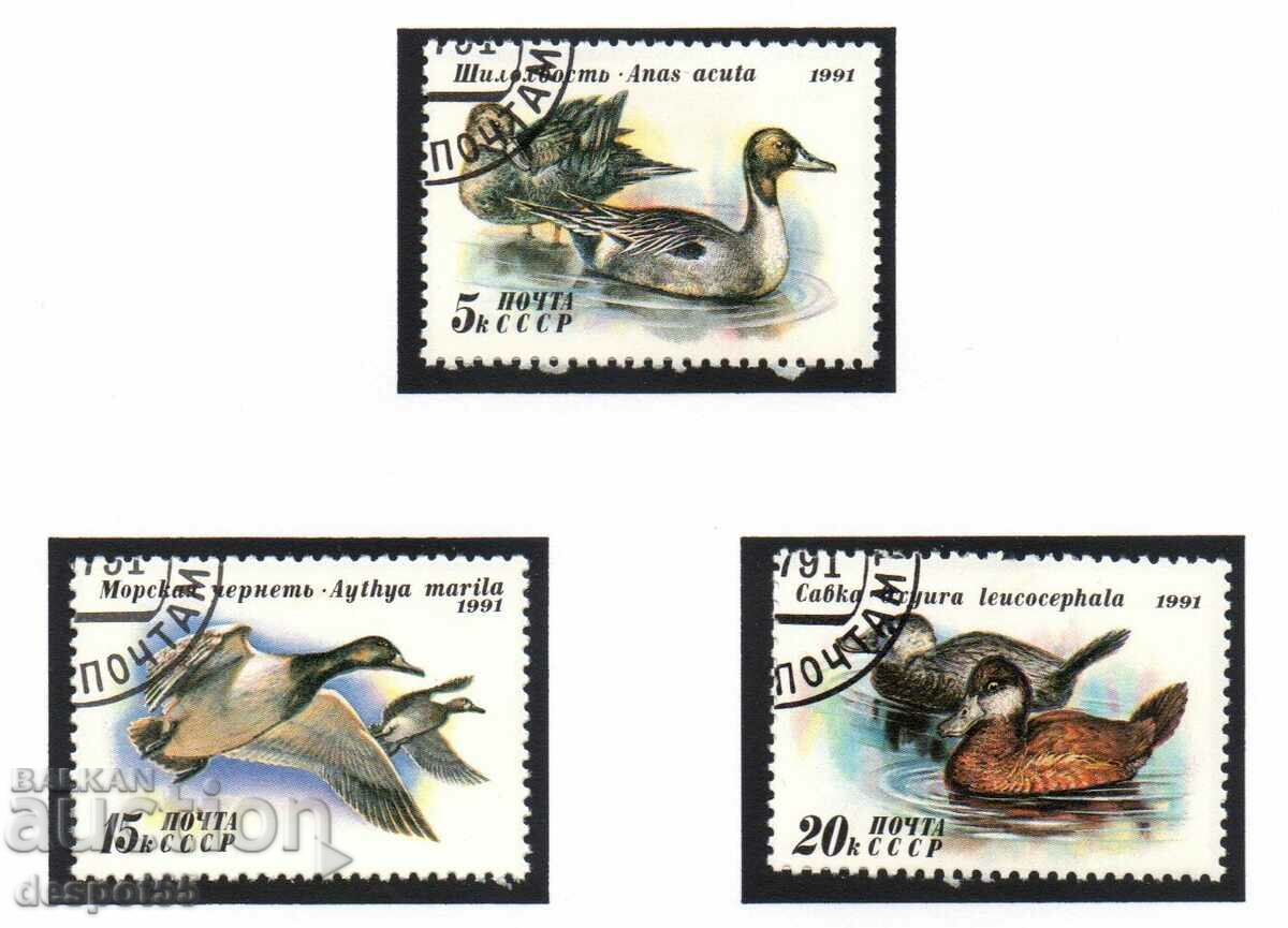 1991. USSR. Wild ducks.