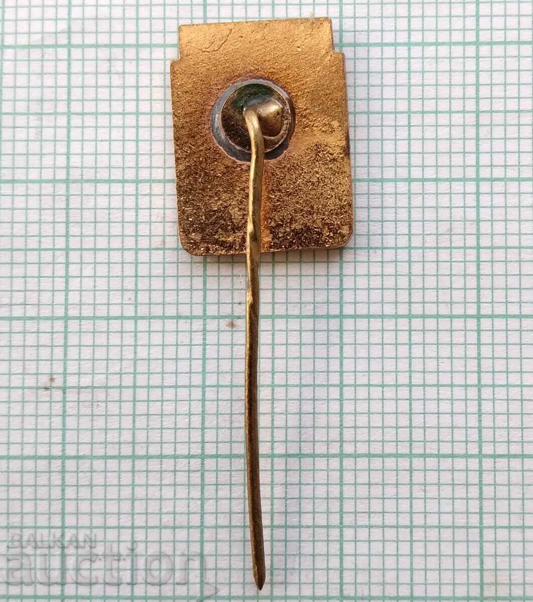 Delivery of 14850 Badge - coat of arms of the city of Riga Latvia - bronze enamel Delivery of 14850 Badge - coat of arms of the city of Riga Latvia - bronze enamel