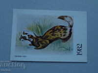 Calendar: Tiger Ferret - 1982