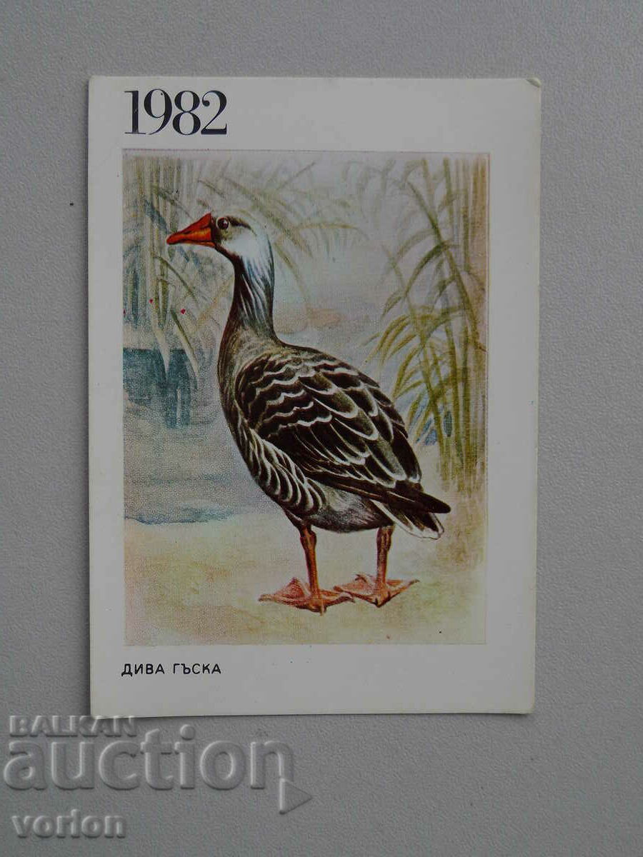 Calendar: Wild Goose - 1982
