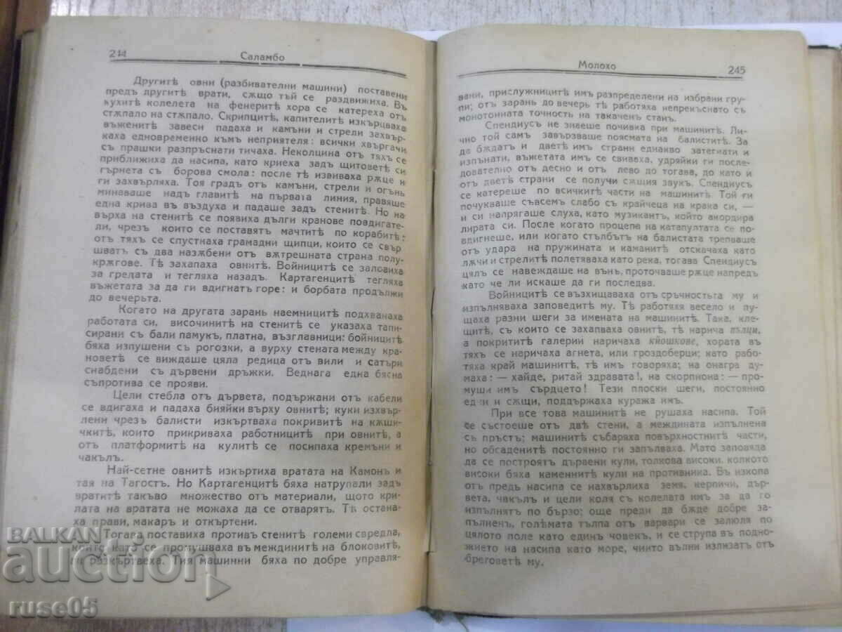 Auction  Book "Salambo - Gustave Flaubert" - 326 pages.