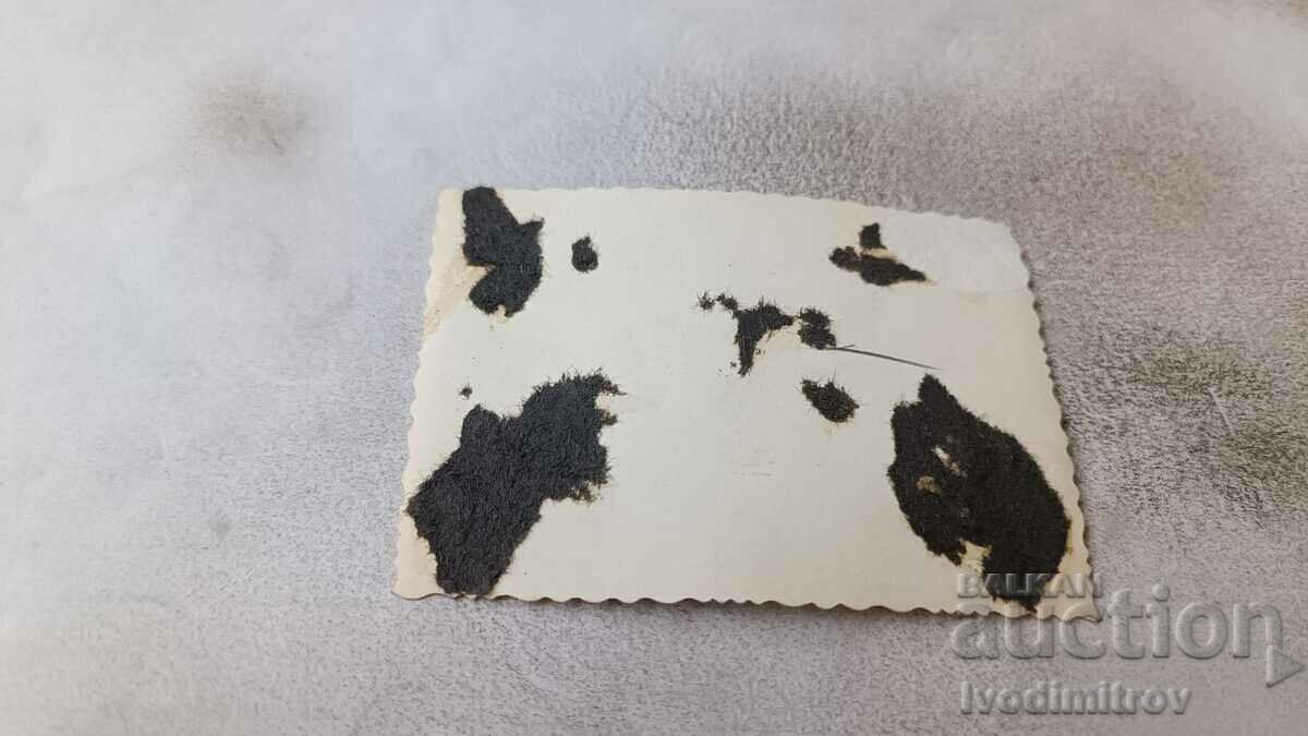 Photo Three young men in shorts with price 2.35 BGN | € 1.20 Photo Three young men in shorts with price 2.35 BGN | € 1.20