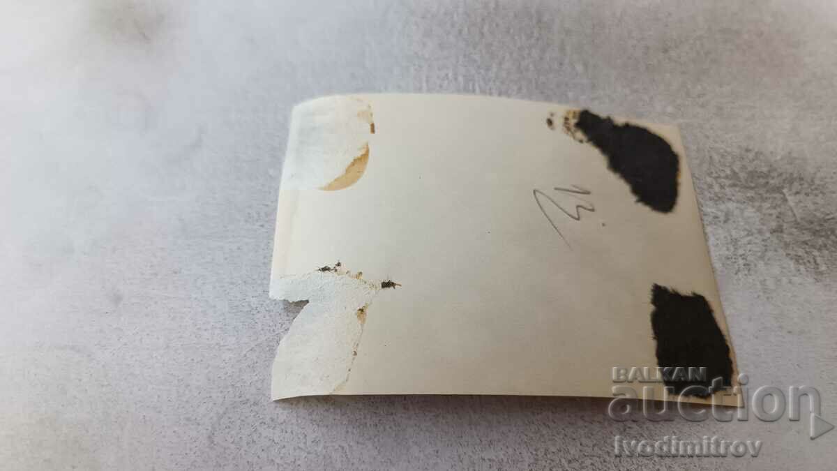 Φωτογραφία Άνθρωπος σε ένα δέντρο στην παραλία με τιμή 2.35 BGN | € 1.20 Φωτογραφία Άνθρωπος σε ένα δέντρο στην παραλία με τιμή 2.35 BGN | € 1.20