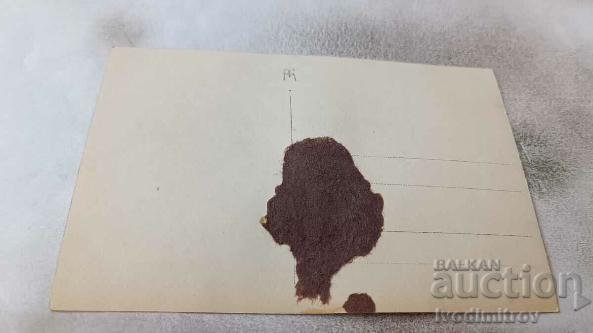 Photo Two young women and two young men on rocks by the sea with price 3.45 BGN | € 1.76 Photo Two young women and two young men on rocks by the sea with price 3.45 BGN | € 1.76