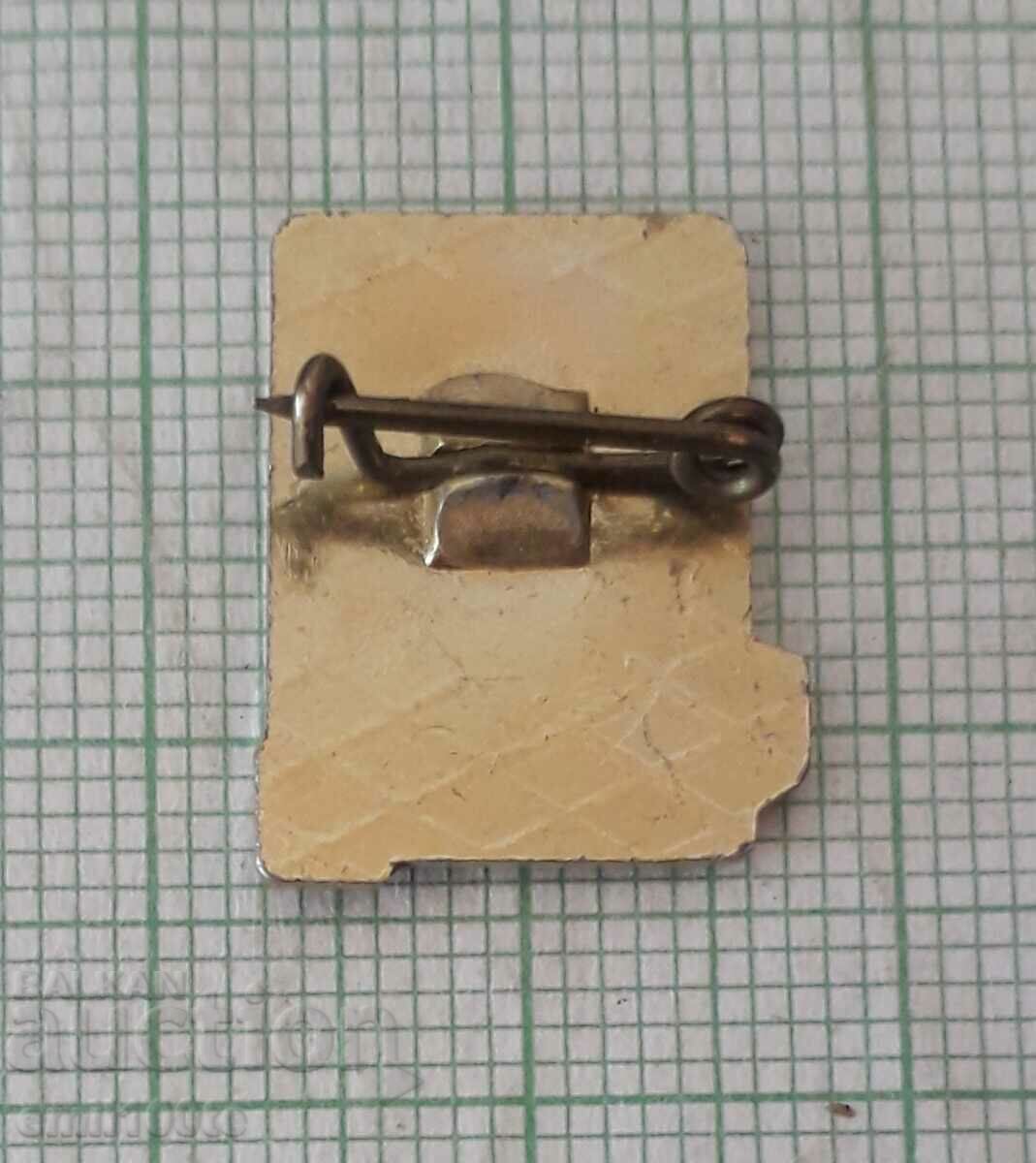 Delivery of Badge - Tourist NRB