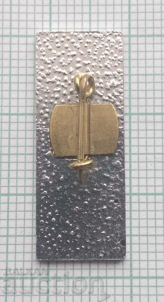 Auction  14896 Badge - TNTM