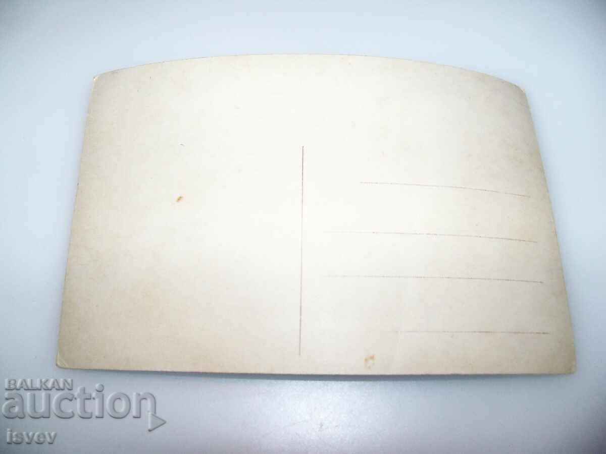 Girl with kittens, old romantic postcard - 5 Girl with kittens, old romantic postcard - 5