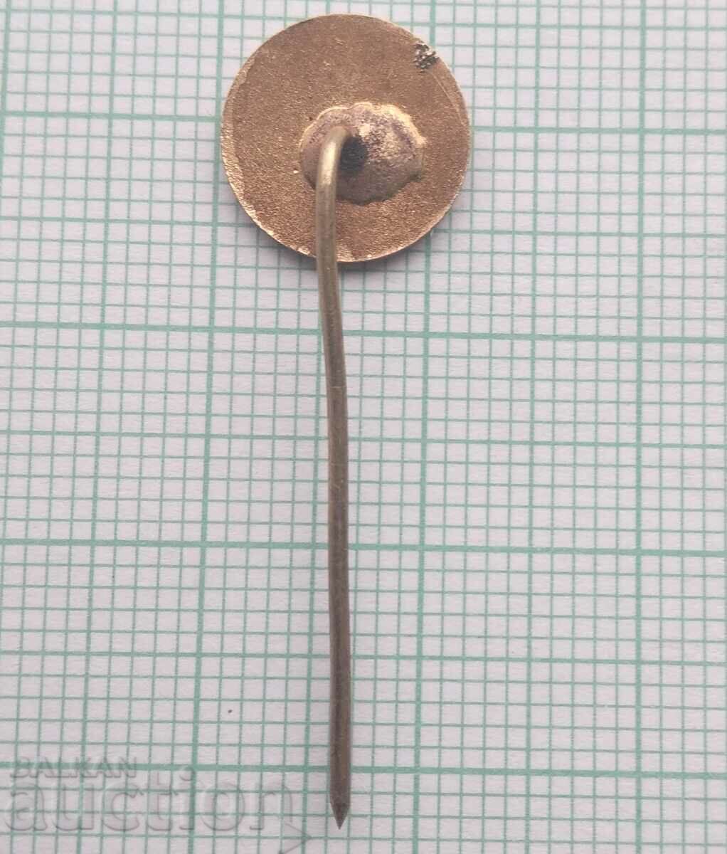 Licitație 15008 Insigna - Nipkire DSO Resprom - email bronz